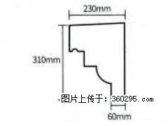 产品分解图型 - 檐口线，型号：SX311-YK-3，规格：230x310mm(3) - 文山三象EPS建材 ws.sx311.cc